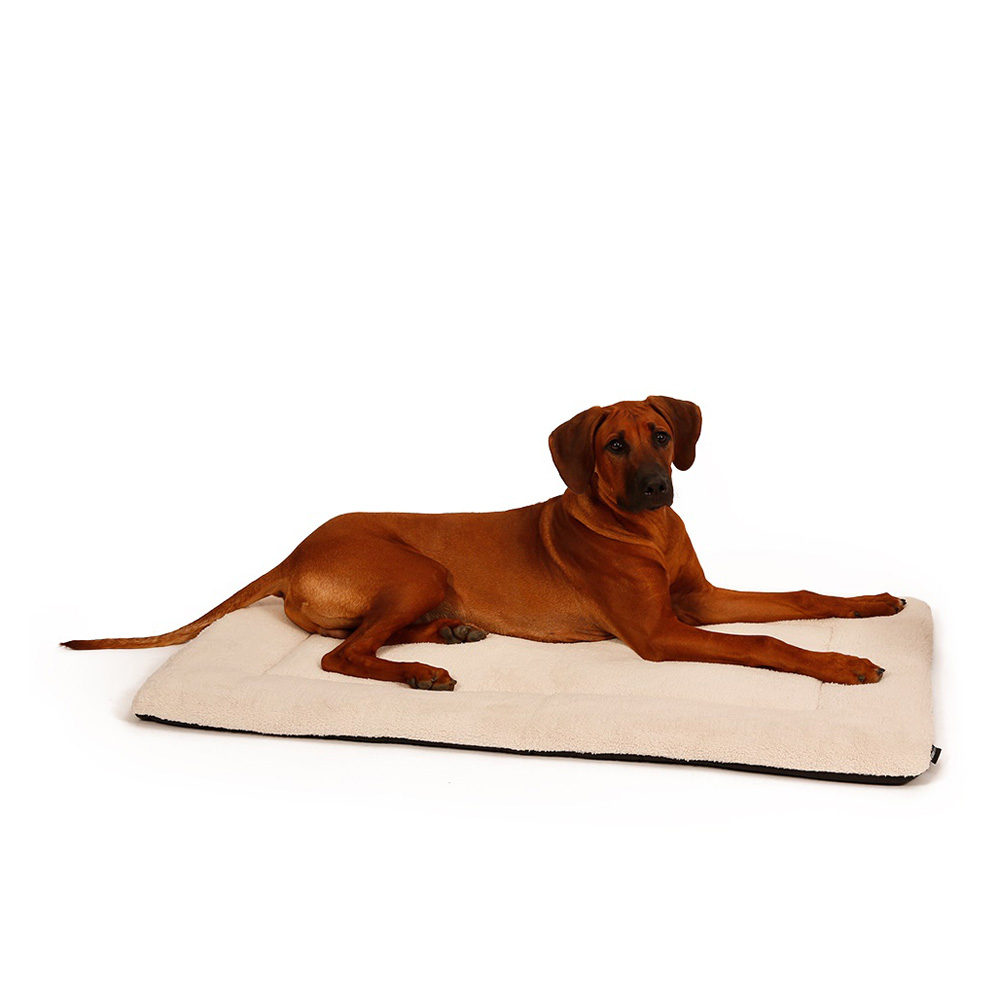 51 Degrees North Sheep Bench Hundekissen - Beige - M