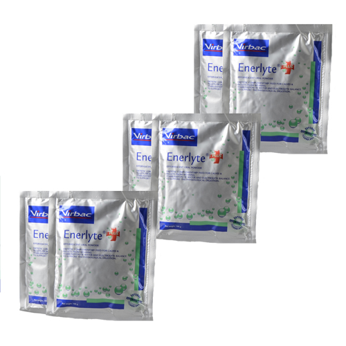 Virbac Enerlyte Plus Sachets - 6 Sachets