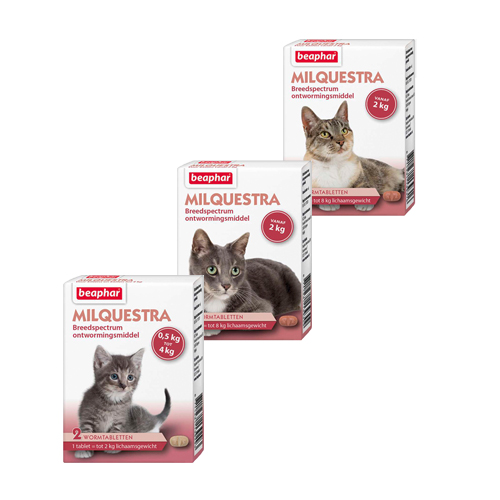 Beaphar Milquestra - große Katze - 4 Tabletten