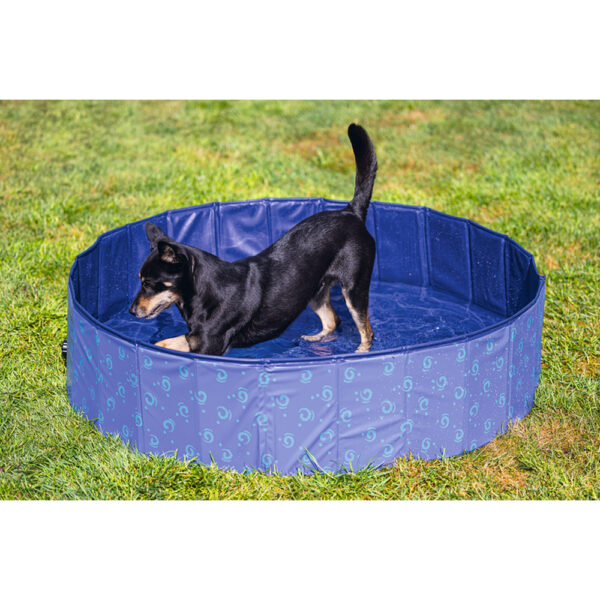 Beeztees Hundeschwimmbecken Doggy Dip - 160 x 160 x 30 cm