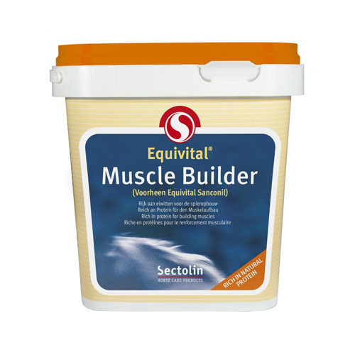 Muscle Builder 1