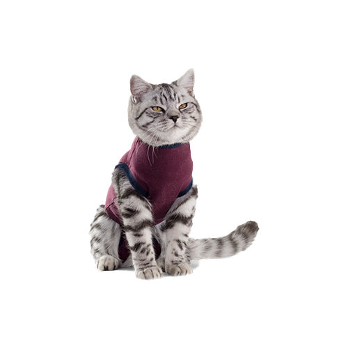 Jacketz Medical Body Suit - Katze - S