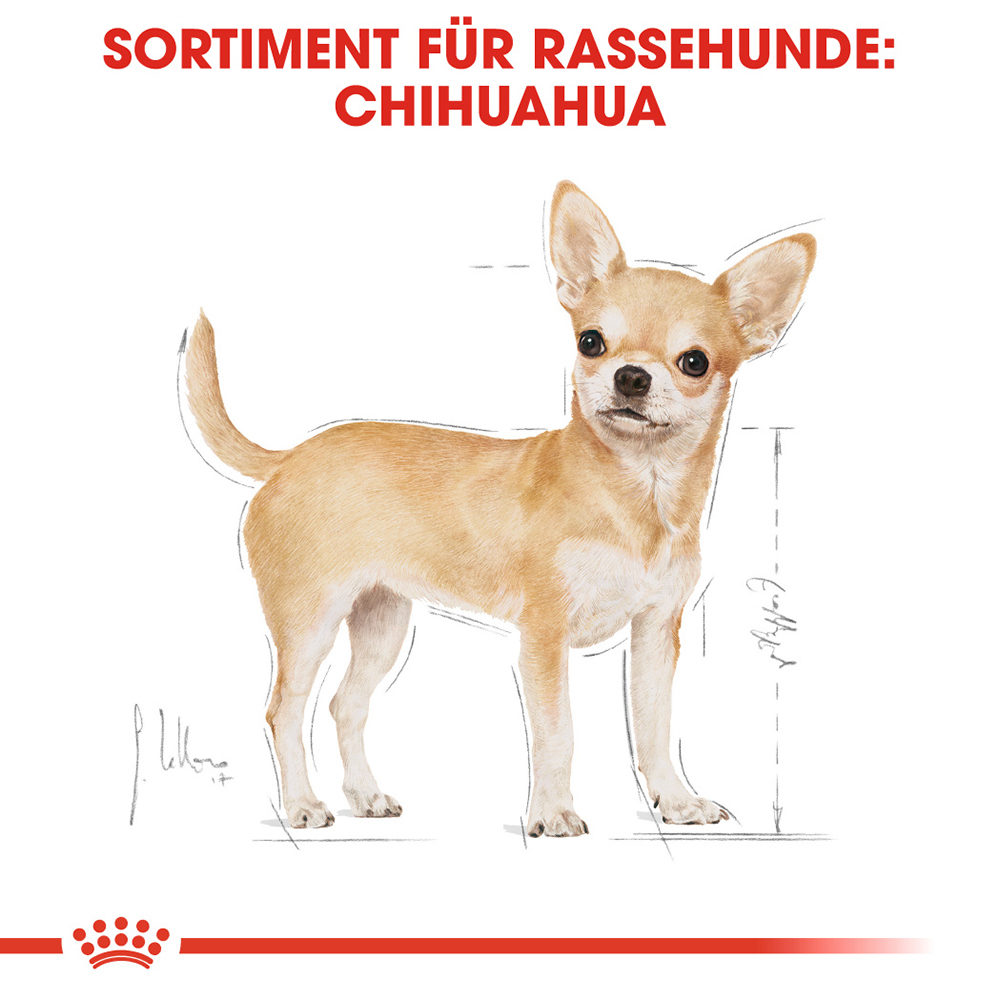 Royal Canin Chihuahua Adult Hundefutter - Frischebeutel - 12 x 85 g