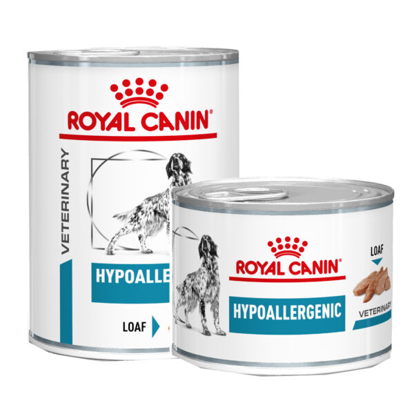 Royal Canin Hypoallergenic Dosen Hund - 2 x 12 x 400 g