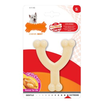 Nylabone Kauspielzeug für Hunde