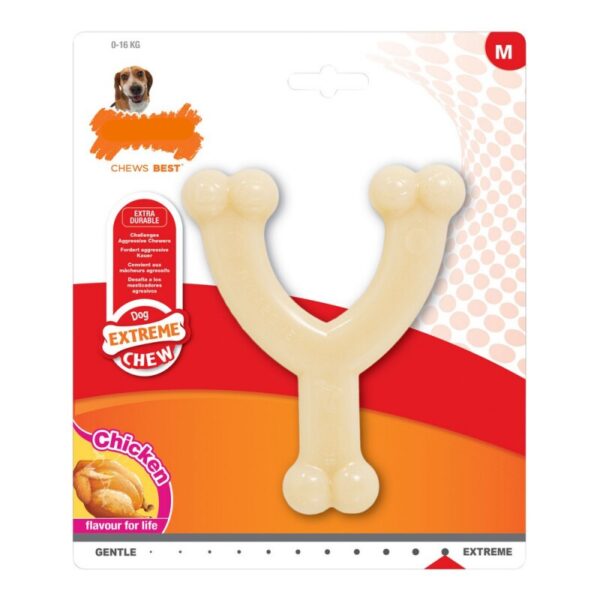 Nylabone Kauspielzeug für Hunde