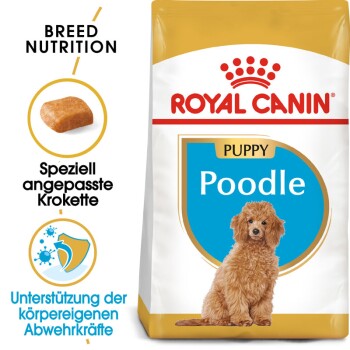 ROYAL CANIN BHN Poodle Puppy 3kg