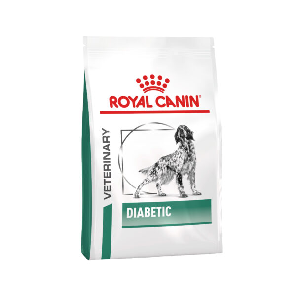 Royal Canin Diabetic (DS 37) Hundefutter - 1