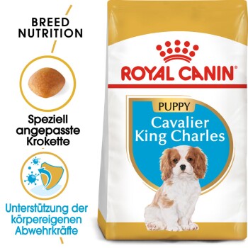 ROYAL CANIN Cavalier King Charles Puppy 1