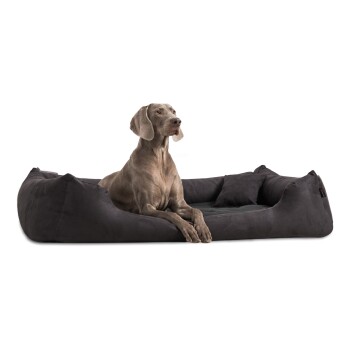 Tierlando MORITZ VIP Hundebett Hundesofa schwarz 1