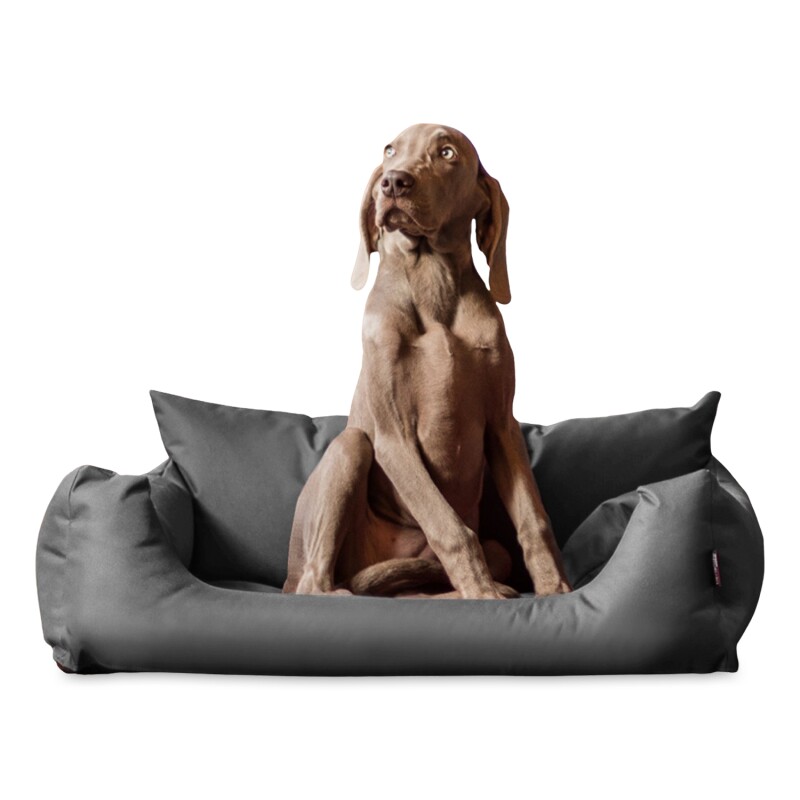 Tierlando NEMO Hundebett Hundesofa S M L Hundekorb Katzenbett 65 80 100cm grau/ grau 80 cm