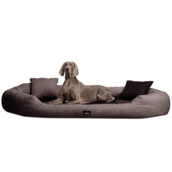 Tierlando ® BALOU - Orthopädisches Hundebett mit Visco Plus Matratze braun 1