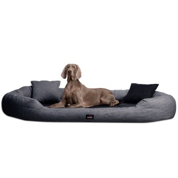 Tierlando ® BALOU - Orthopädisches Hundebett mit Visco Plus Matratze graphit schwarz 1