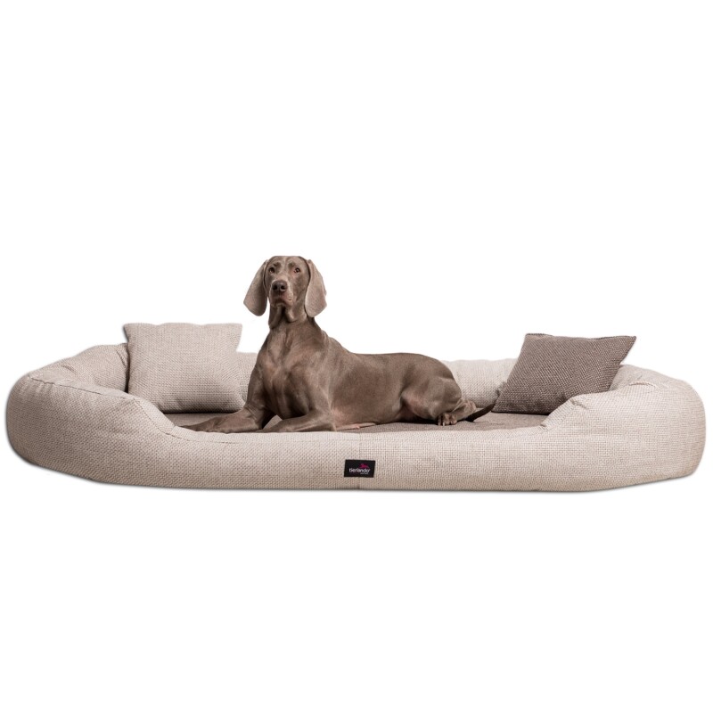 Tierlando ® BALOU - Orthopädisches Hundebett mit Visco Plus Matratze creme/ beige 1