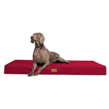 Tierlando ® HUGO Ortho Plus Orthopädische Hundematratze dunkelrot 80 cm