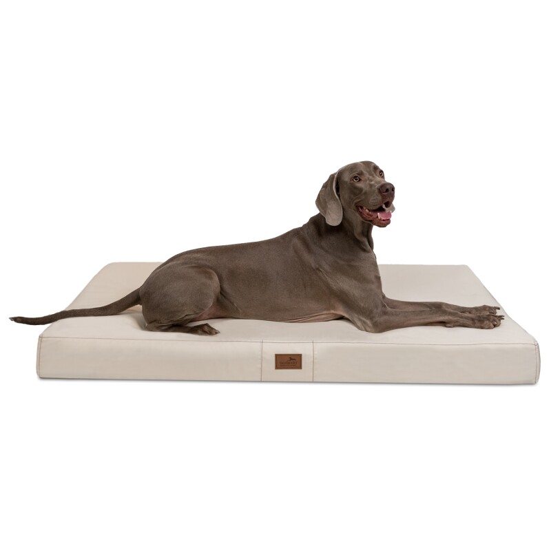 Tierlando ® HUGO Ortho Plus Orthopädische Hundematratze creme 80 cm