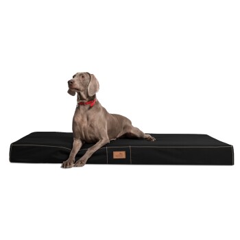 Tierlando ® HUGO BASIC Hundematratze schwarz 80 cm