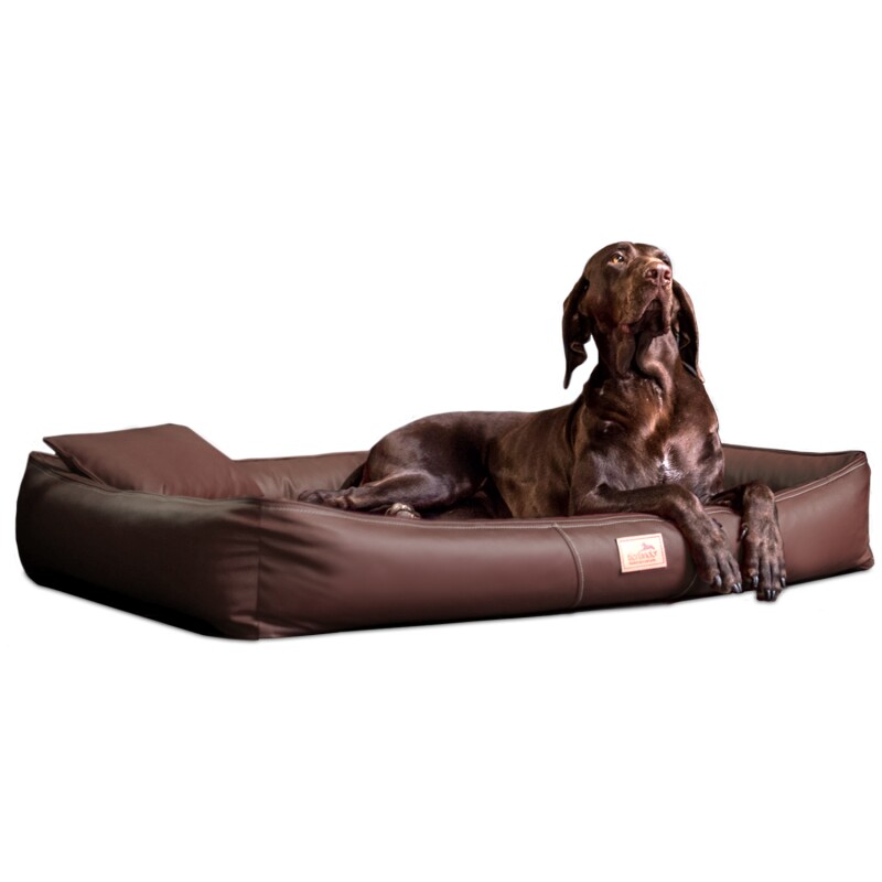 Tierlando ® CLIFFORD LATEX Orthopädische Hundematratze braun 1