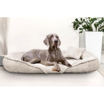 Tierlando ® XENIA - Orthopädisches Hundebett / Hundesofa creme 1