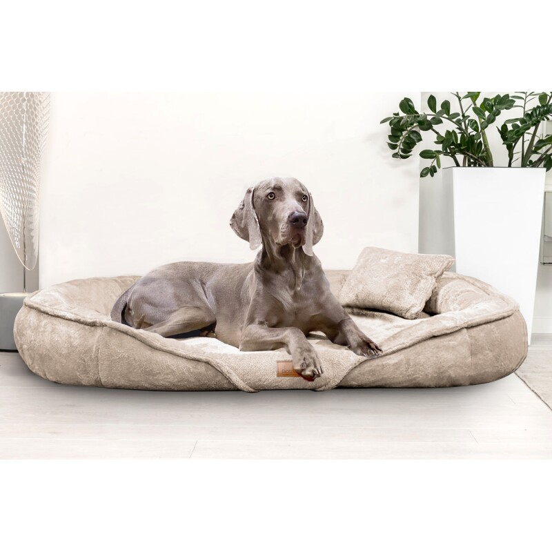 Tierlando ® XENIA - Orthopädisches Hundebett / Hundesofa beige 1