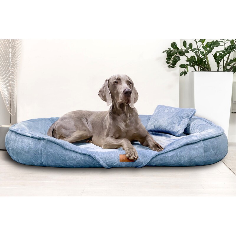 Tierlando ® XENIA - Orthopädisches Hundebett / Hundesofa hellblau 1