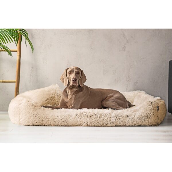 Tierlando ® PEDRO - Orthopädisches Hundebett mit kuscheligem Langflor beige 1