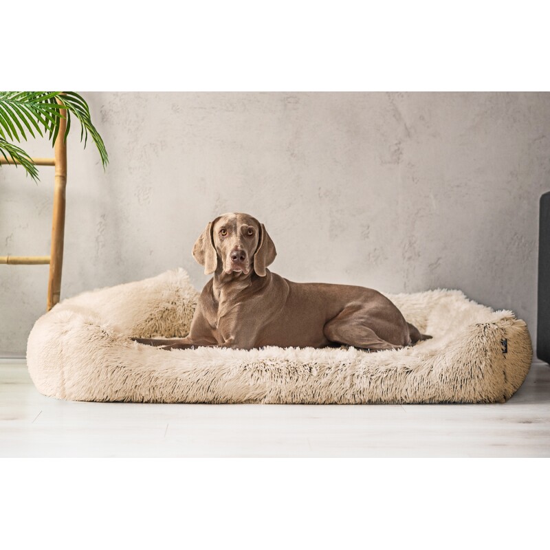 Tierlando ® PEDRO - Orthopädisches Hundebett mit kuscheligem Langflor beige 1