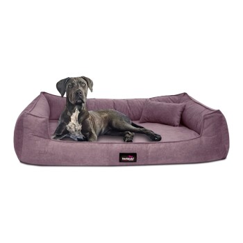 Tierlando ® BRUCE VELOURS Orthopädisches Hundebett Soft lavendelfarbe 1