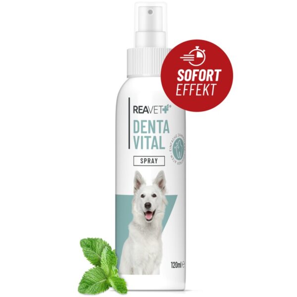 REAVET Denta Vital Spray 120ml