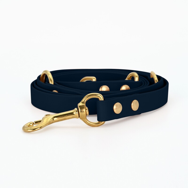 THE DOG IDEA Biothane Hundeleine Gold Navy