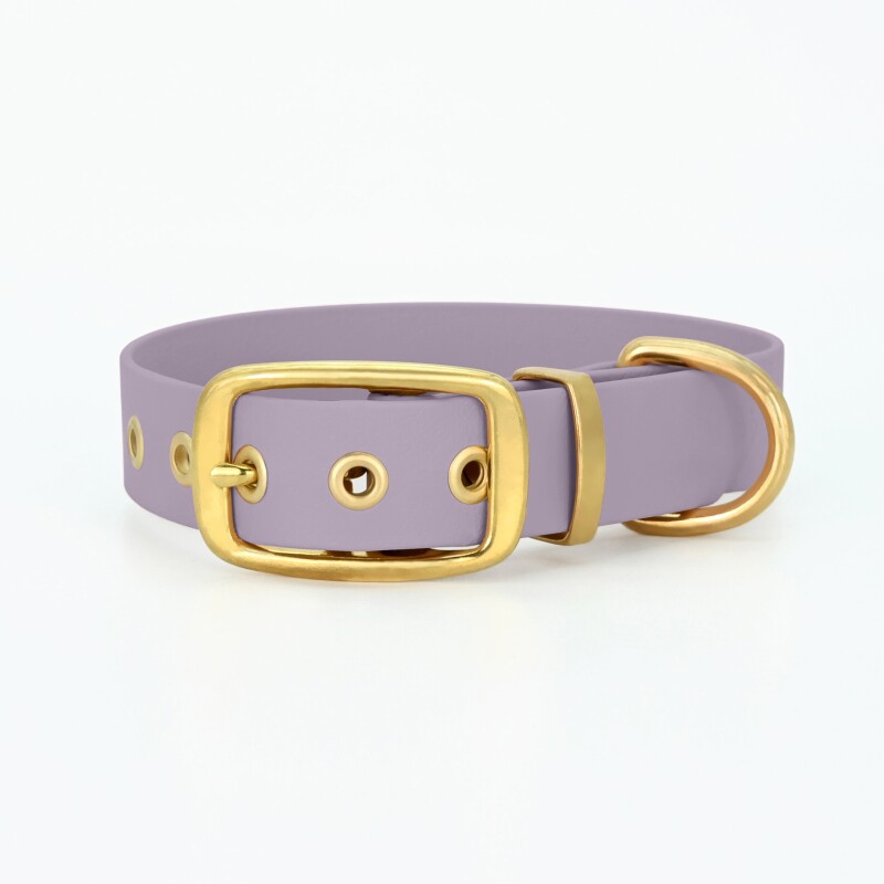 THE DOG IDEA Biothane Halsband Gold Lavendel M