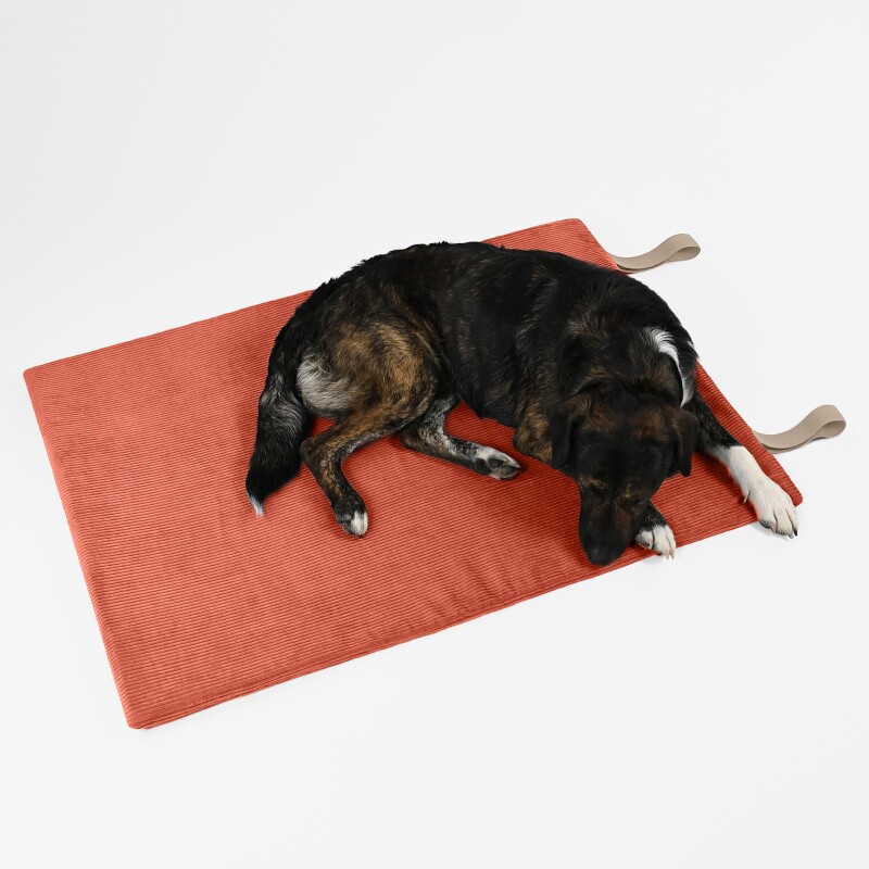 THE DOG IDEA Reisebett Travelbed terracotta M