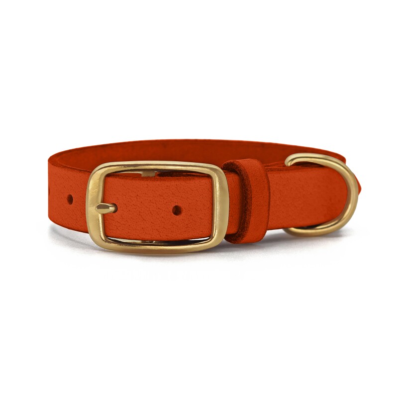 THE DOG IDEA Leder Halsband Orange S