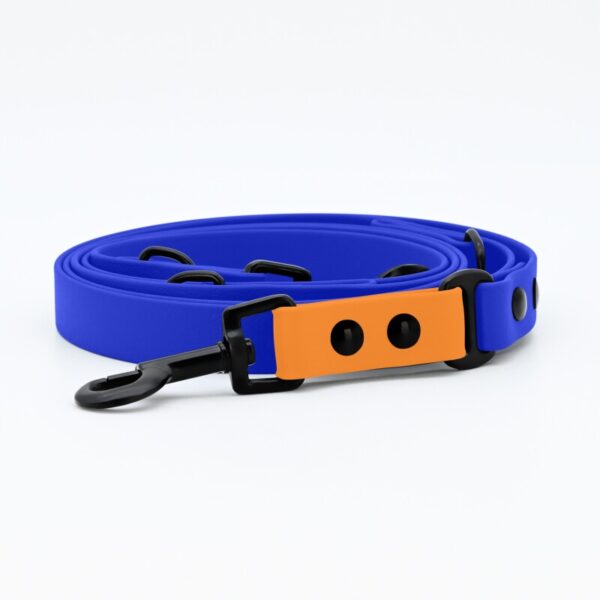 THE DOG IDEA Biothane Hundeleine Blau