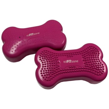 FitPaws Gleichgewichtstrainer Mini rosa