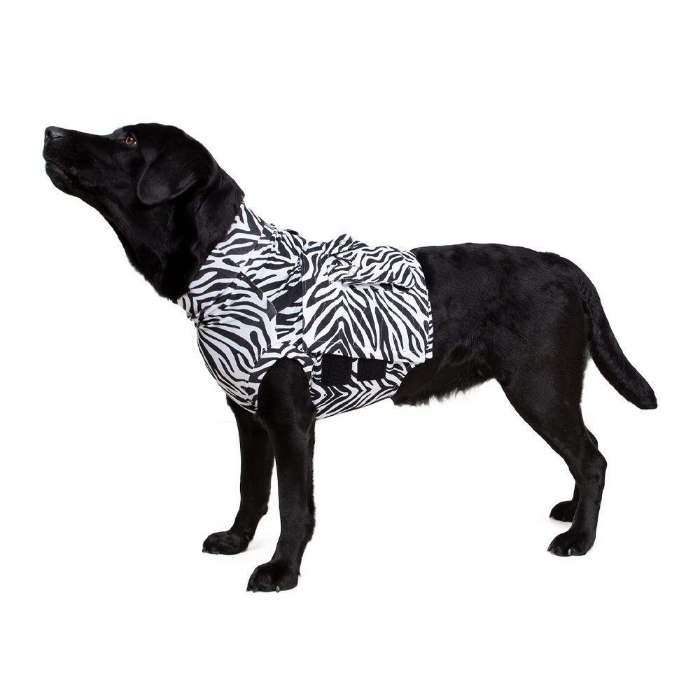 Medical Pet Shirt Top Shirt Zebraprint - XS