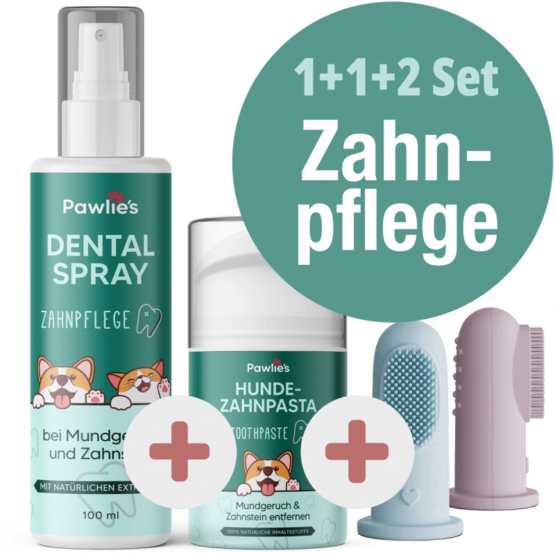 Pawlie's Zahnpflege-Set