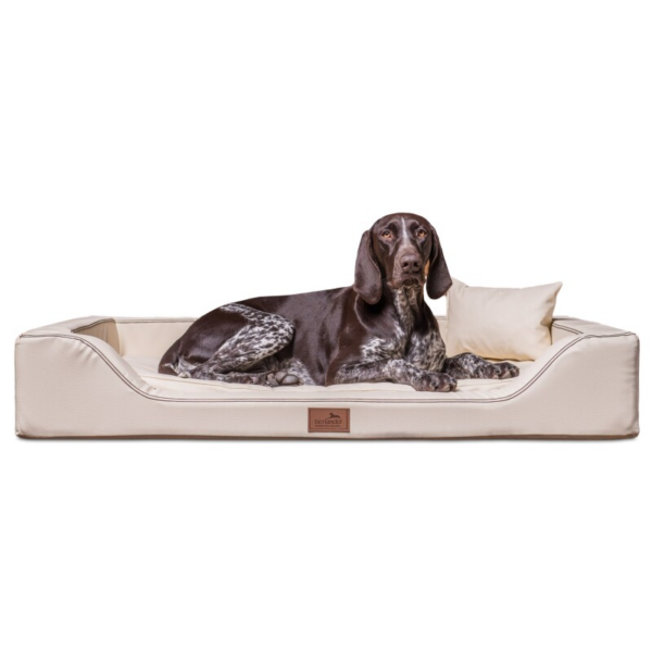 Tierlando ® MELODY LATEX - Orthopädisches LUXUS-Hundebett aus Soft-Kunstleder & Velours beige 1