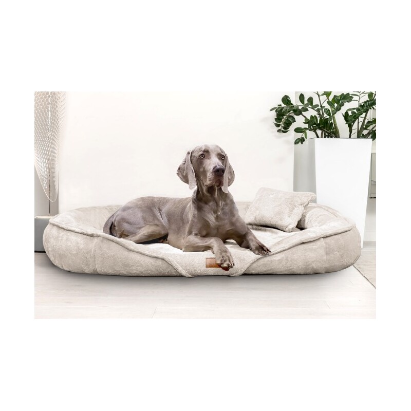 Tierlando ® XENIA - Orthopädisches Hundebett / Hundesofa creme 1