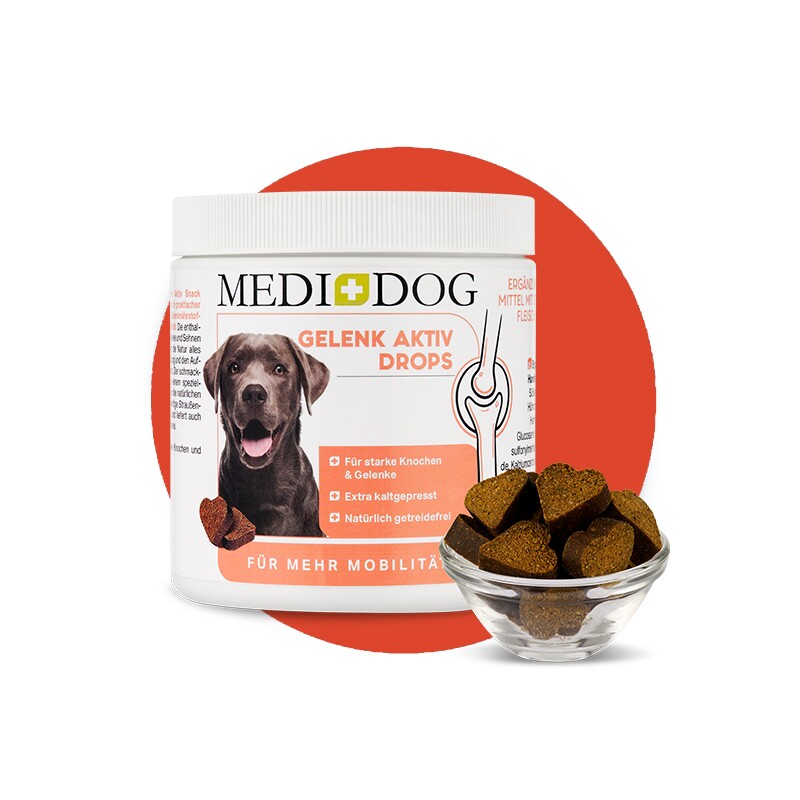 MediDog Gelenk Aktiv Drops