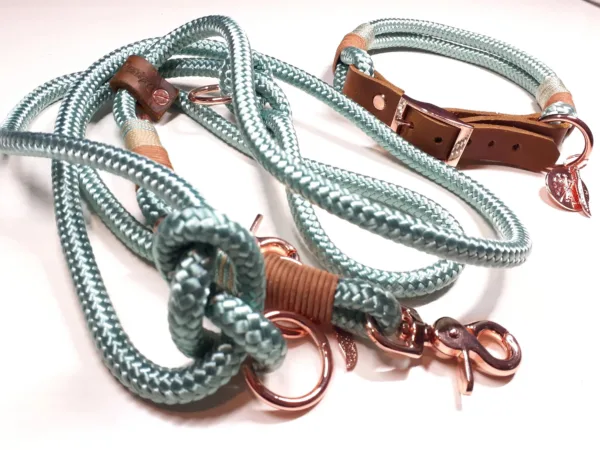 Halsbandset ABBY in mint | Auswahl: Halsband + Leine | Beschläge: Messing