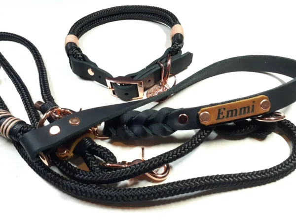 Hundehalsband Set EMMI in schwarz mit Gravur | Auswahl: Halsband + Leine | Beschläge: Messing