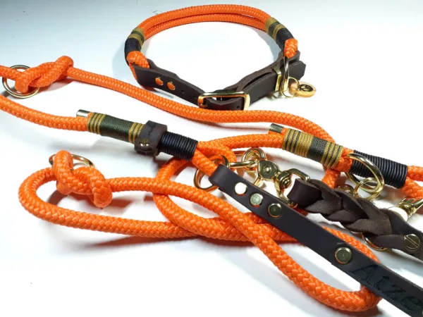 Halsbandset SPIKE in orange mit Gravur | Auswahl: Halsband + Leine | Beschläge: Messing