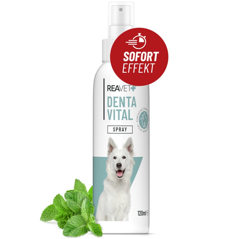 REAVET Denta Vital Spray 120ml