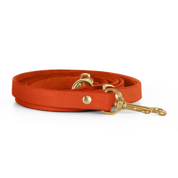 THE DOG IDEA Echtleder Hundeleine Orange XS-S