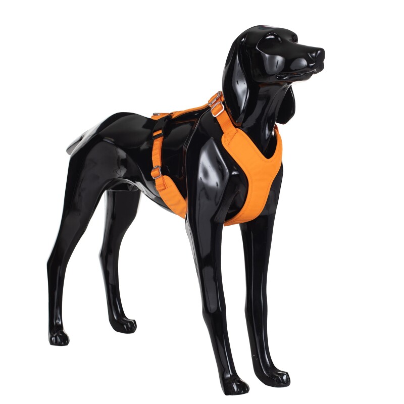 Paikka Visibility Harness orange XS