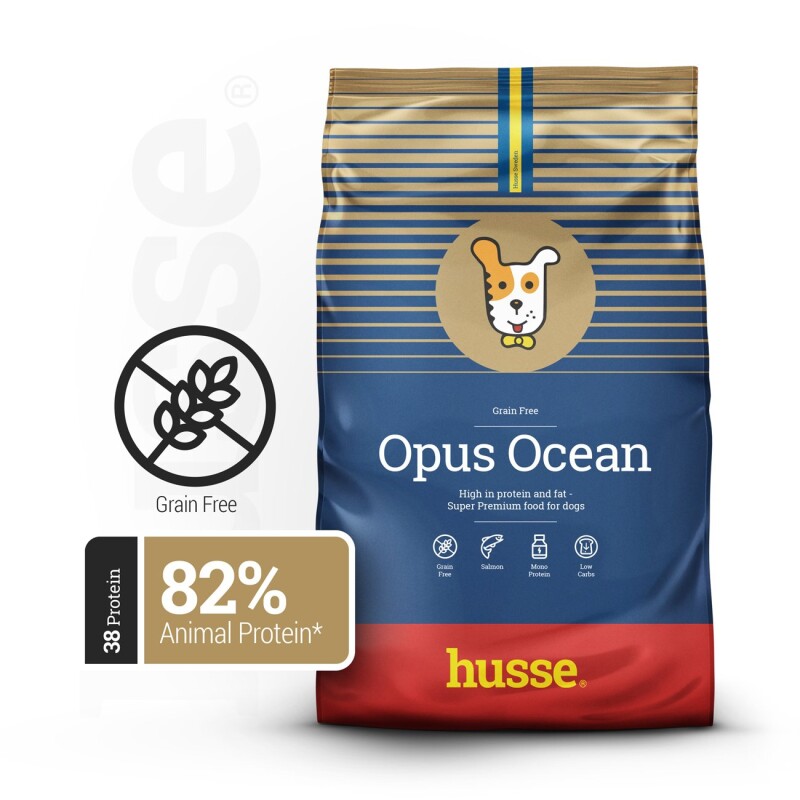 husse Opus Ocean Lachs&Kartoffel 12 kg