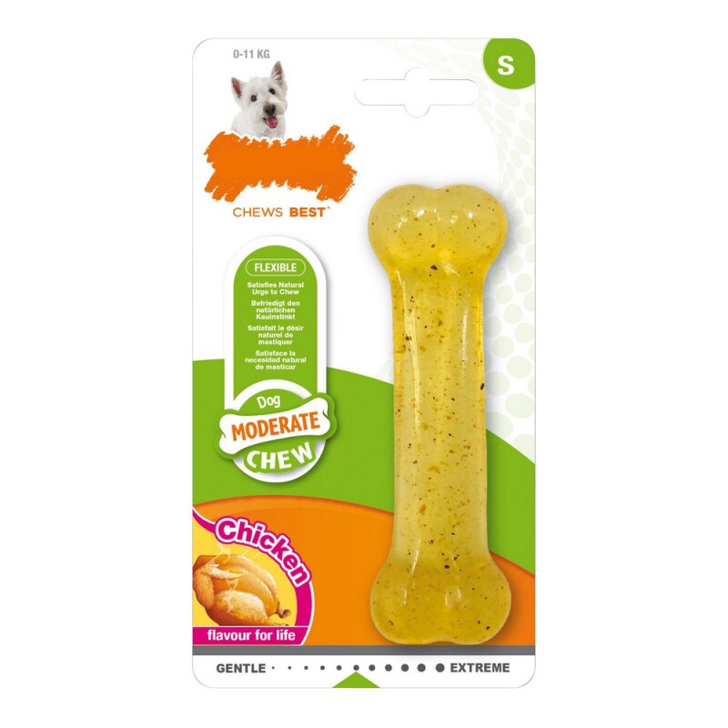 Nylabone Kauspielzeug für Hunde