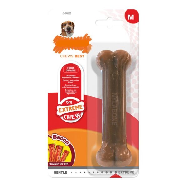 Nylabone Kauspielzeug für mittelgrosse Hunde