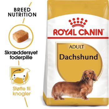 ROYAL CANIN Dachshund Adult 1